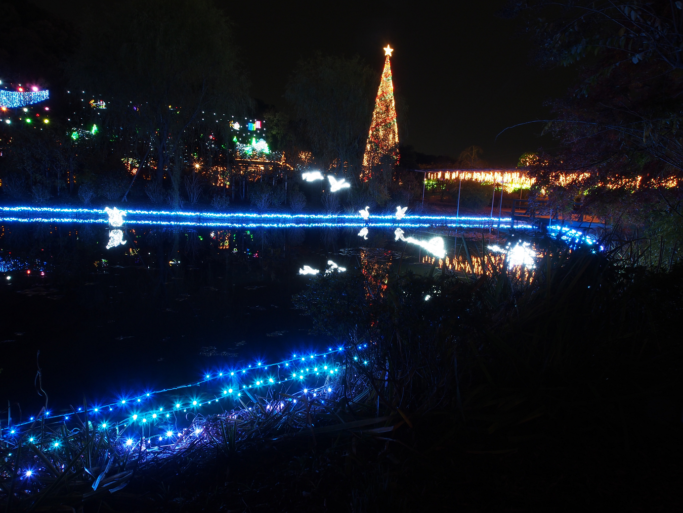 PC020166.jpg