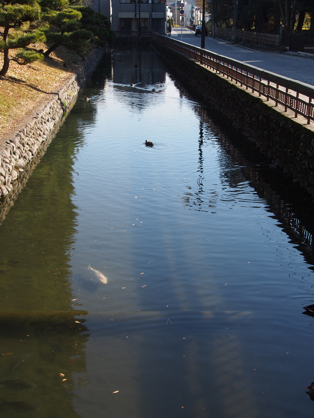 PC020139.jpg