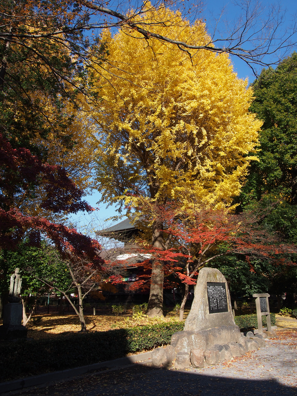 PC020150.jpg