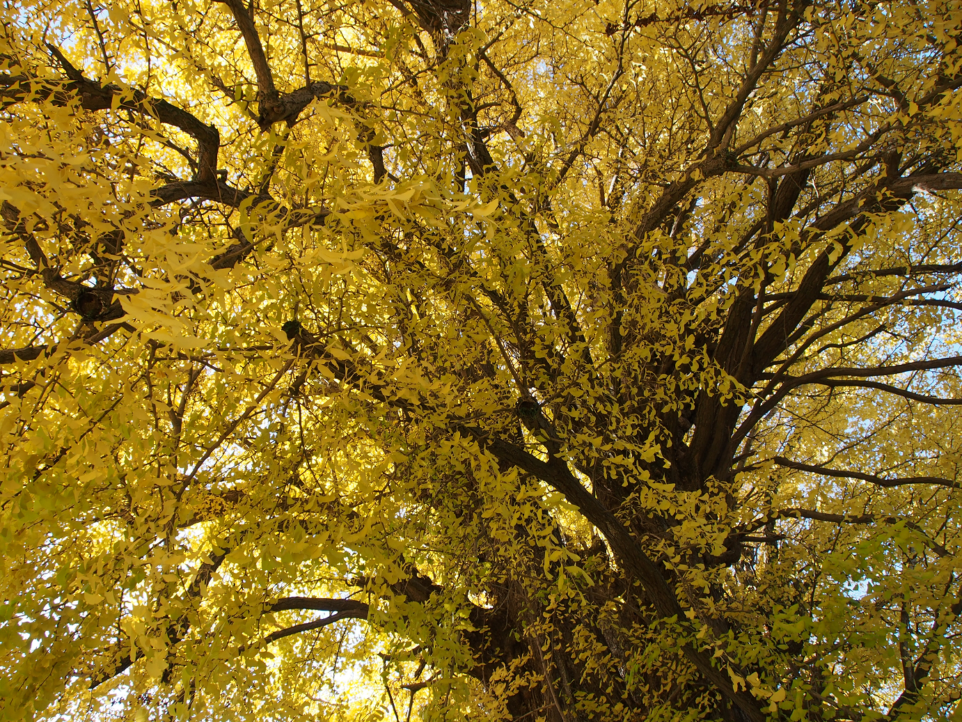 PC020214.jpg