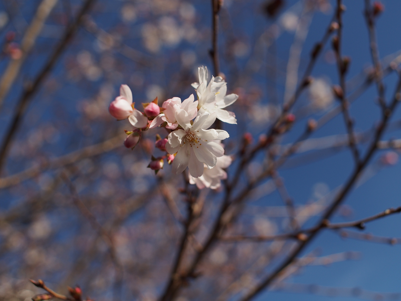 PC070082.jpg