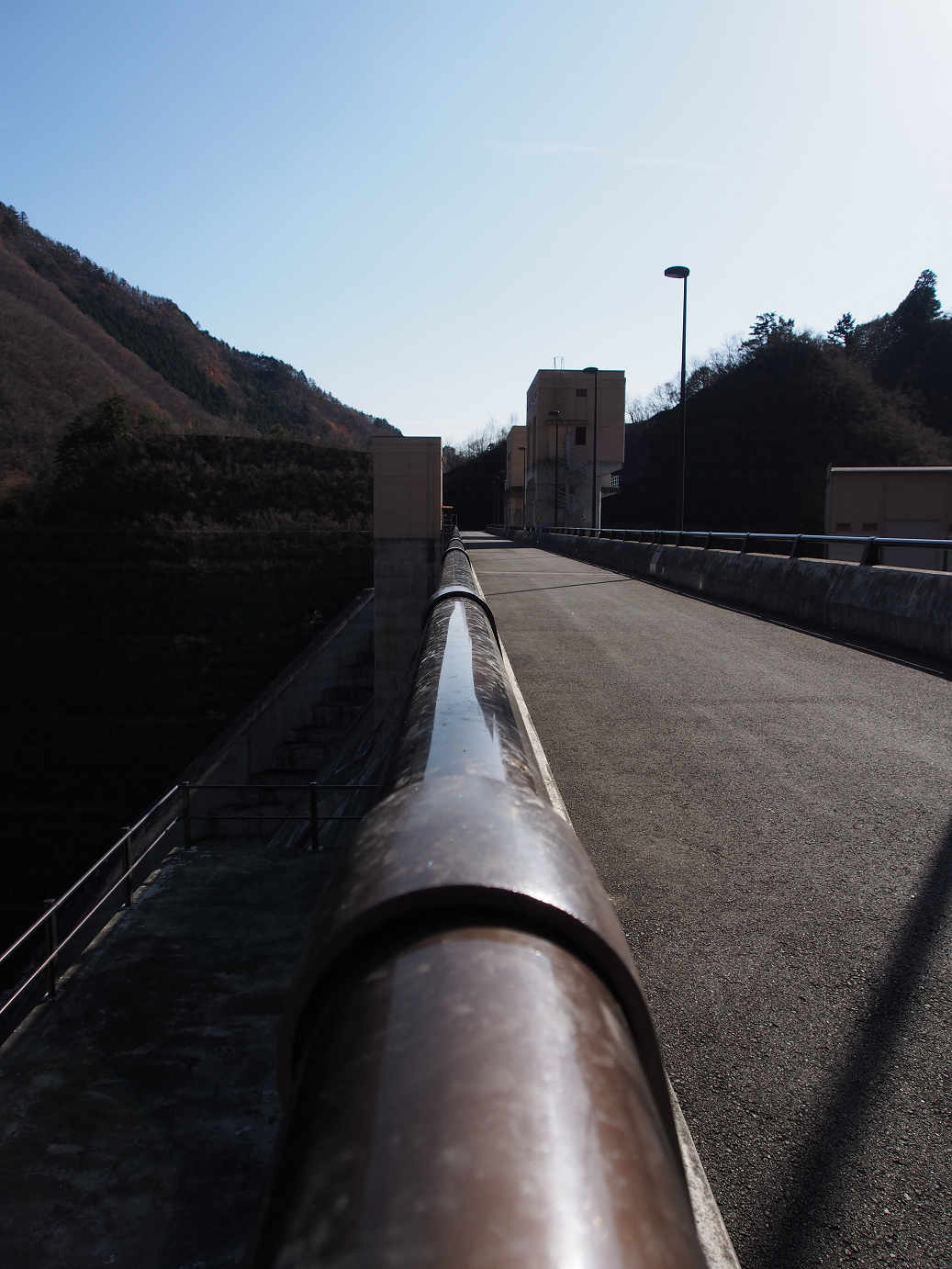 PC070106.jpg