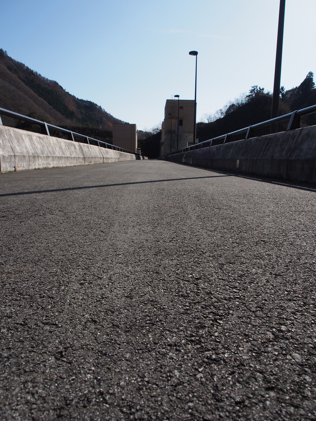 PC070107.jpg