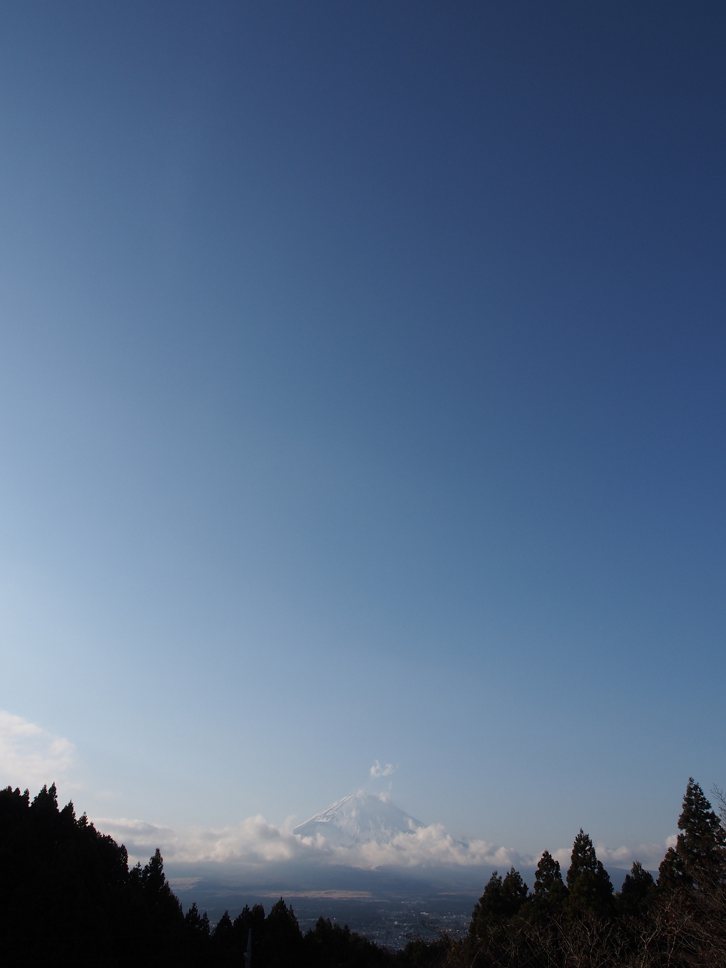 PC070128.jpg