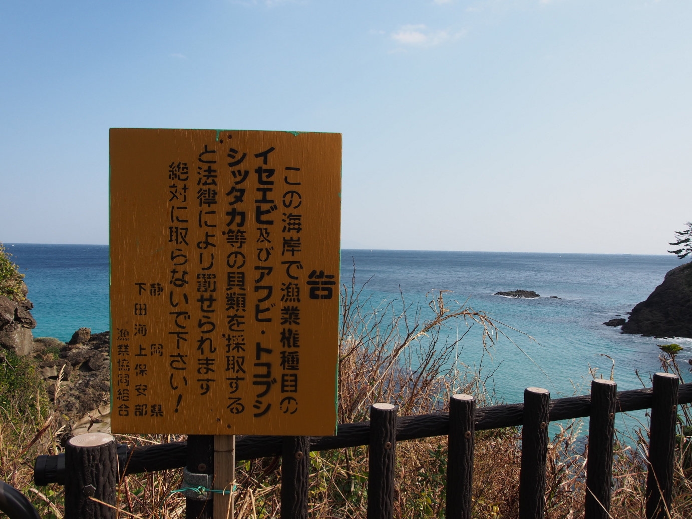 PC080443.jpg