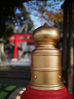 PC080472_thumb.png