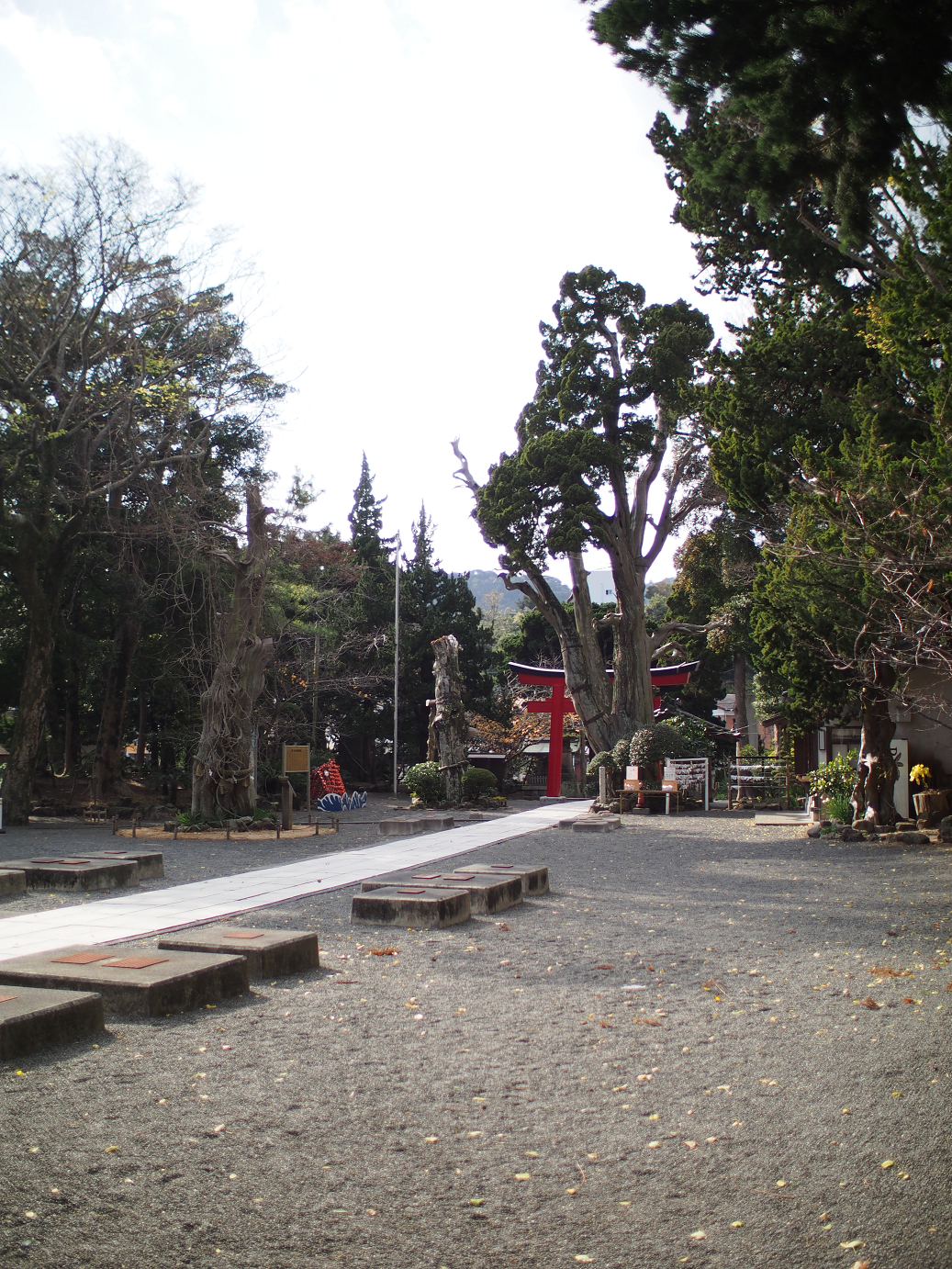 PC080504.jpg