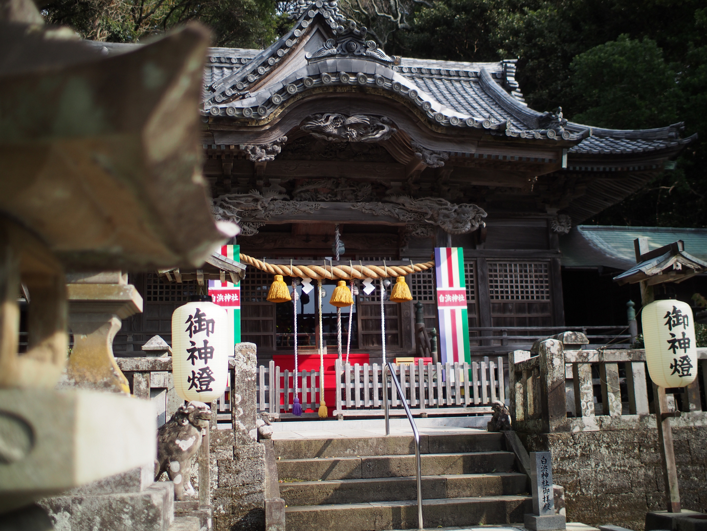 PC080510.jpg