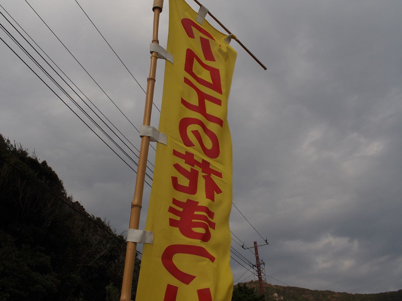 PC080560.jpg
