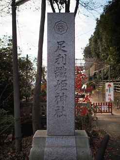 PC150743_thumb.png