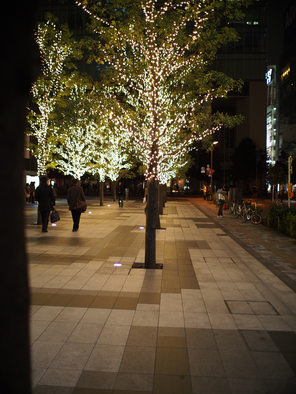 PC211453.jpg