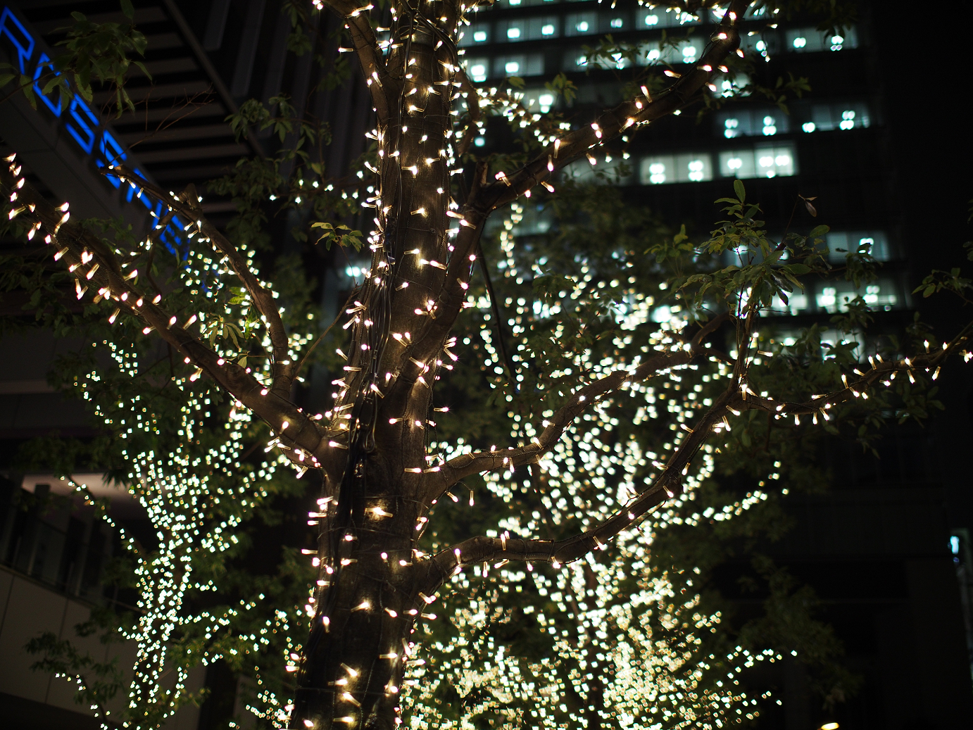 PC211454.jpg