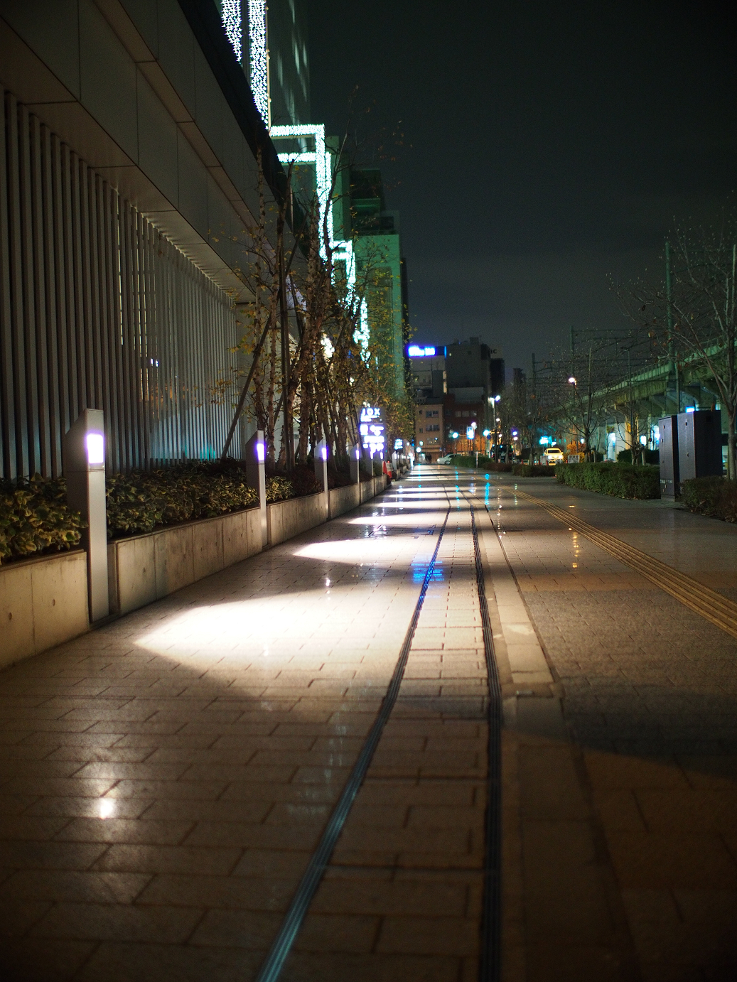 PC211460.jpg