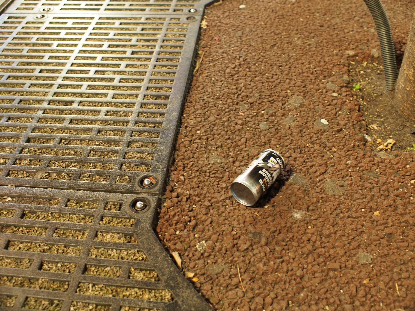 PC211465.jpg