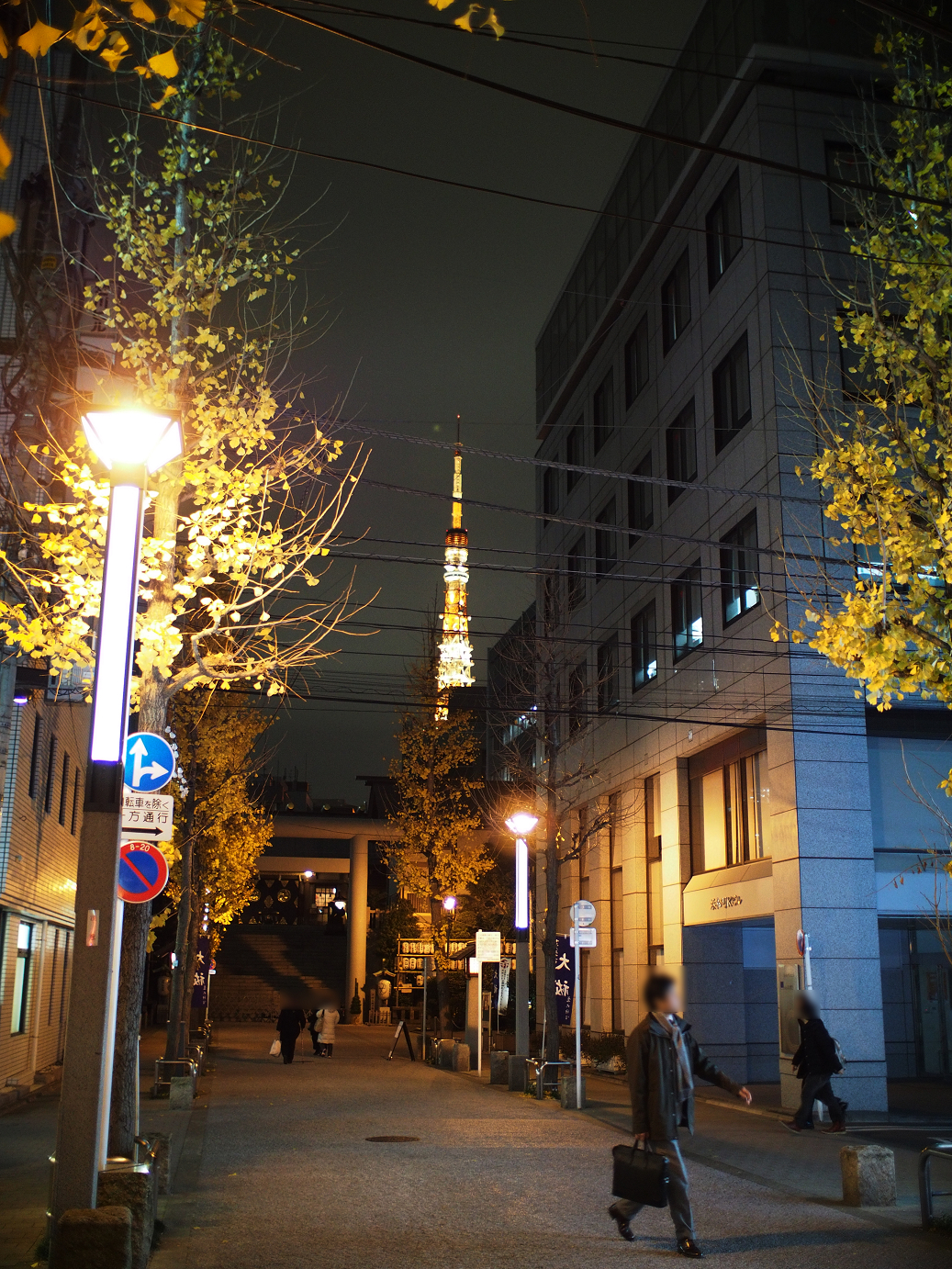 PC211062.jpg