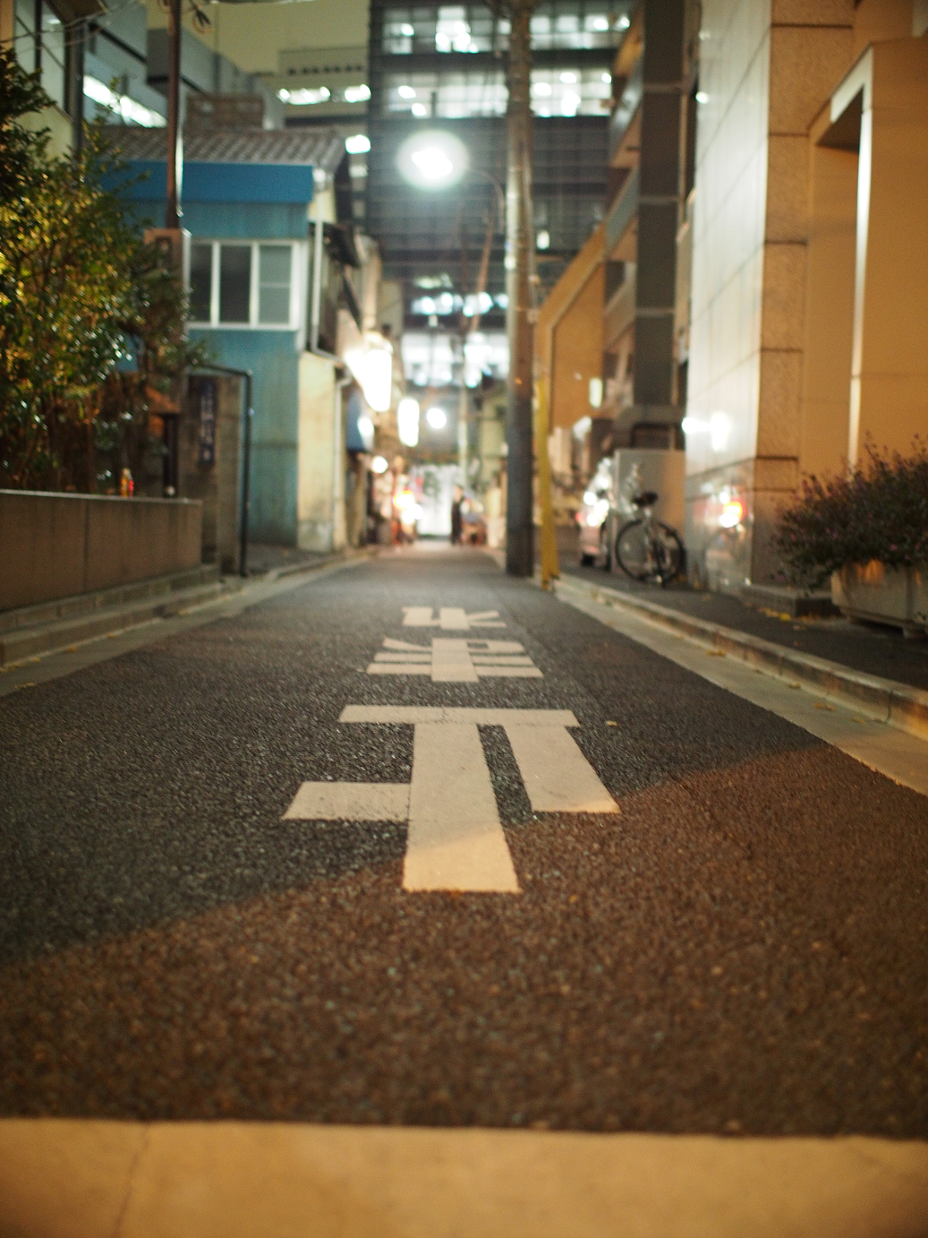 PC211067.jpg