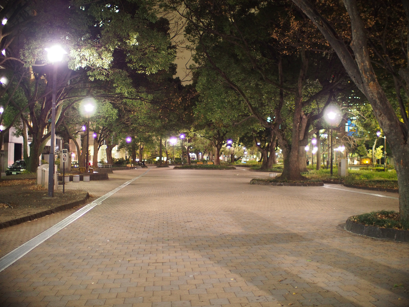 PC211095.jpg