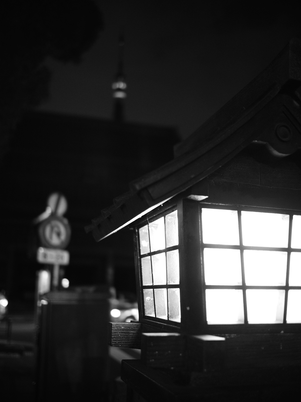 PC211105.jpg