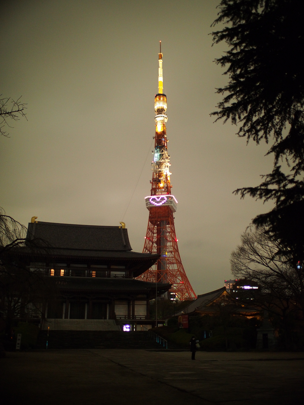 PC211117.jpg