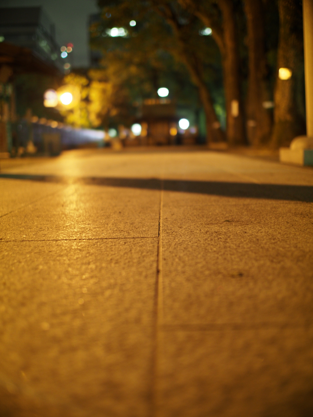 PC211198.jpg