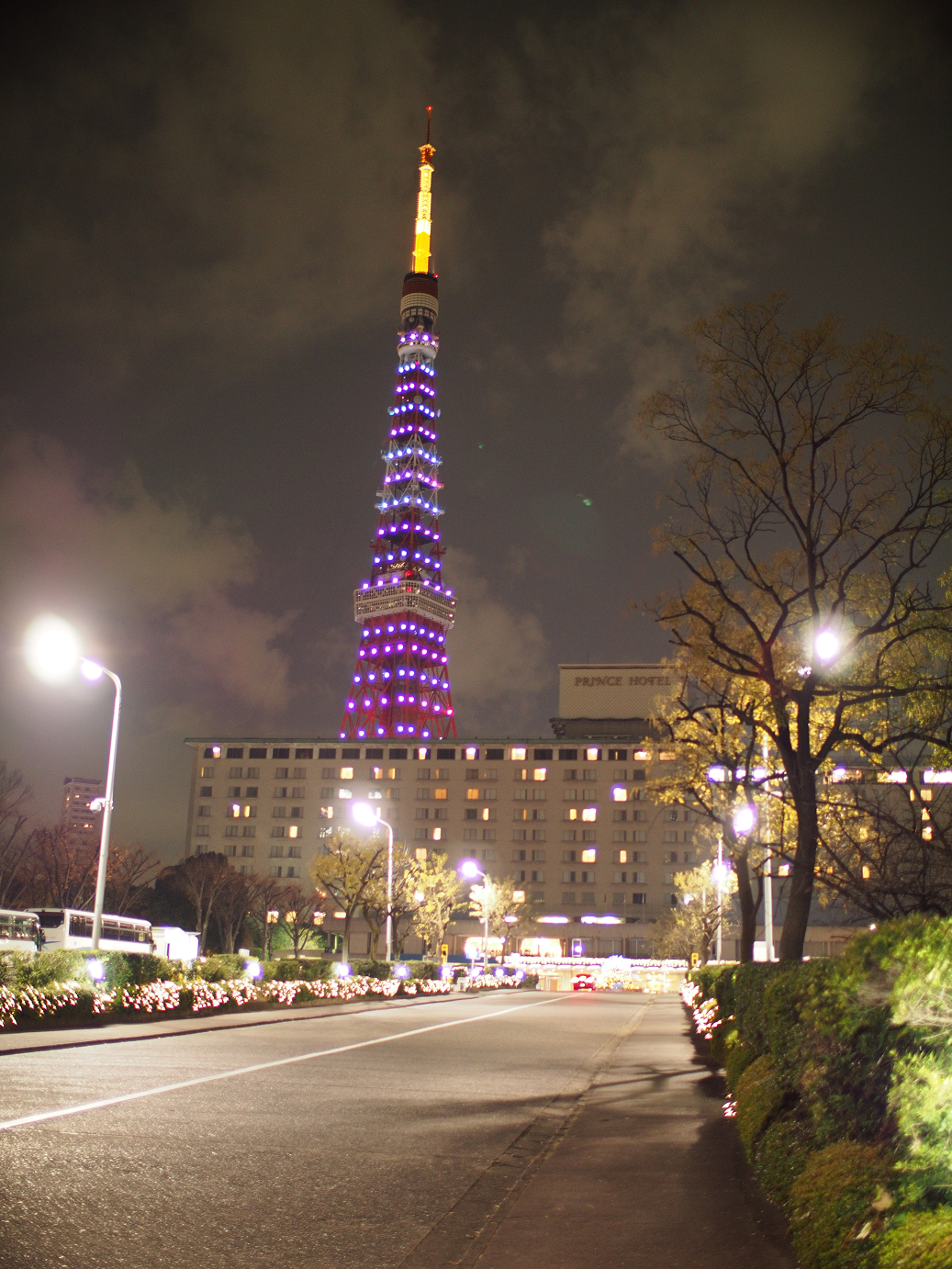 PC211256.jpg