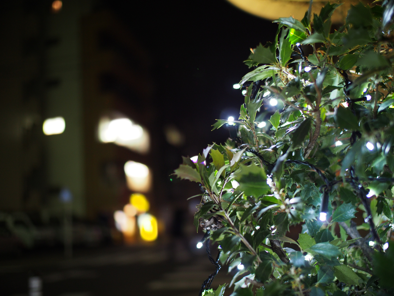 PC211315.jpg