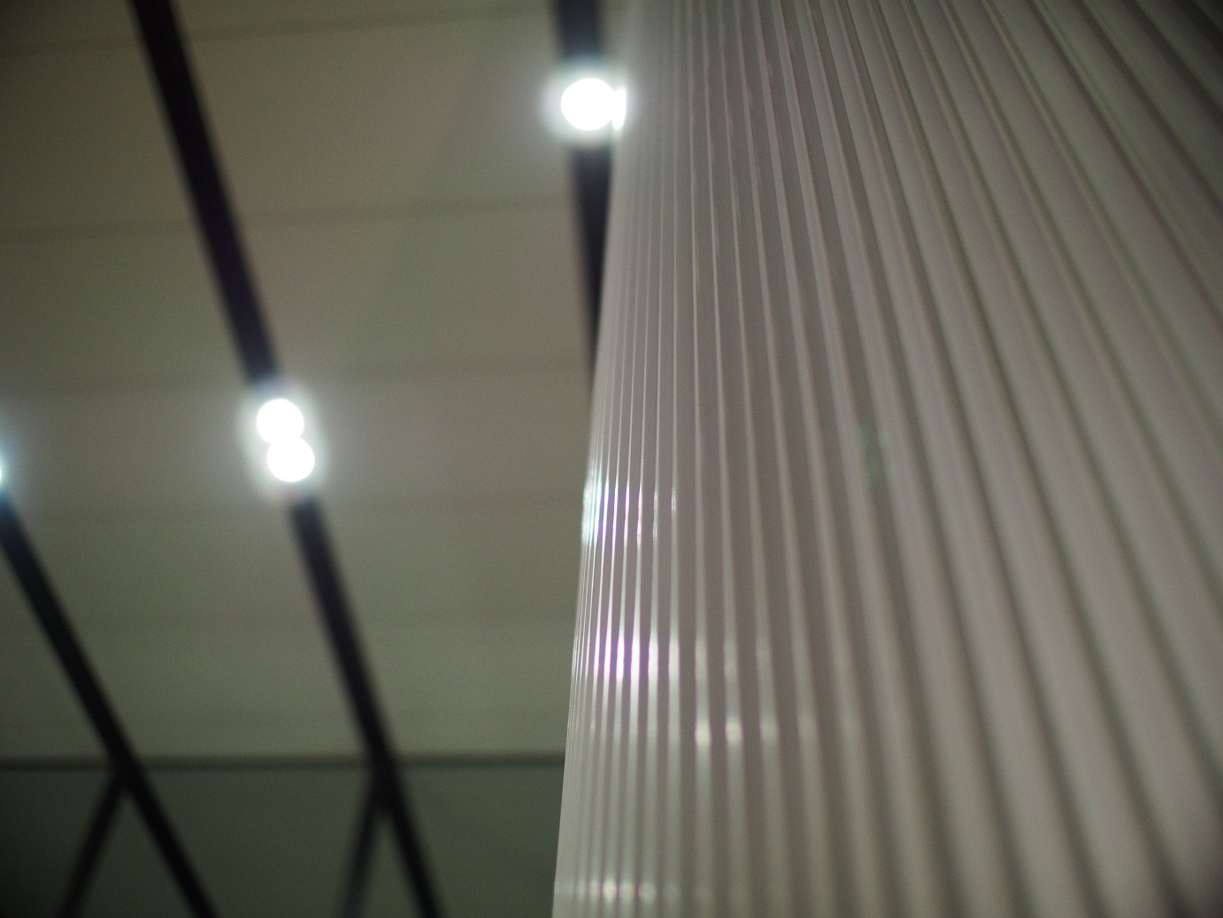 PC211354.jpg