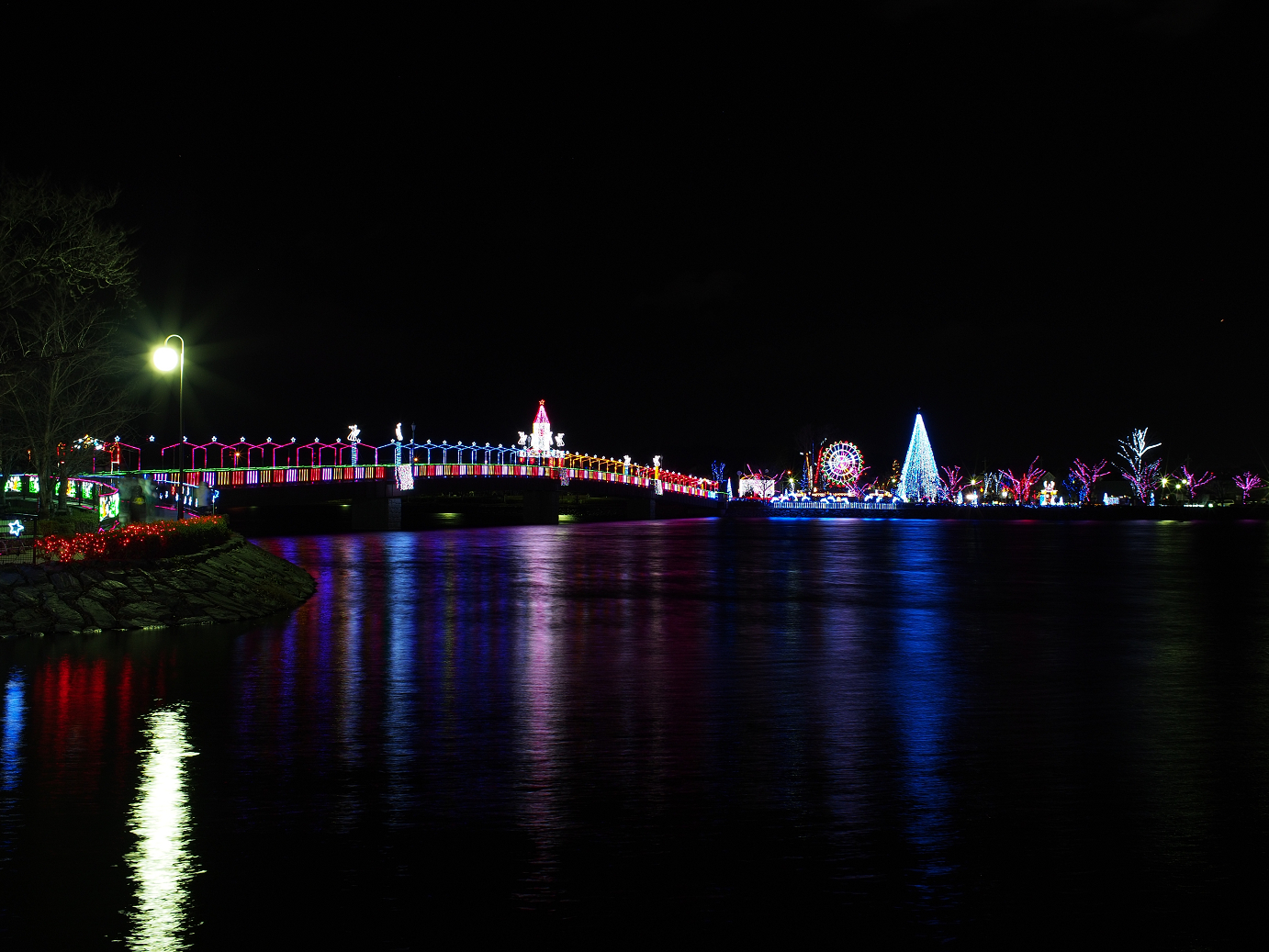 PC220206.jpg