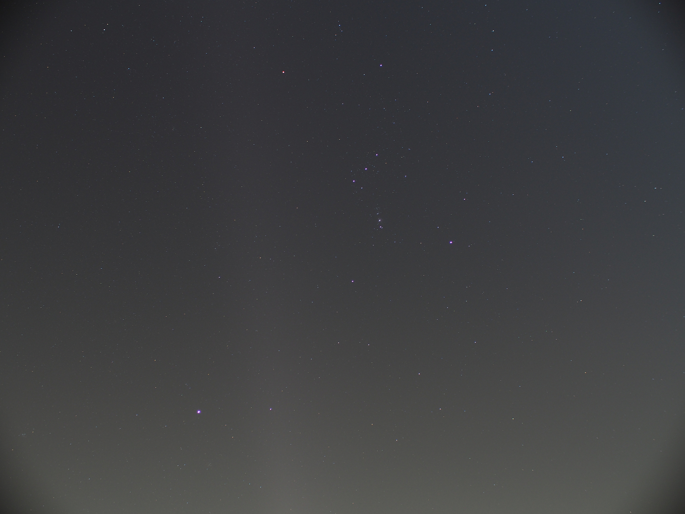 PC230695.jpg