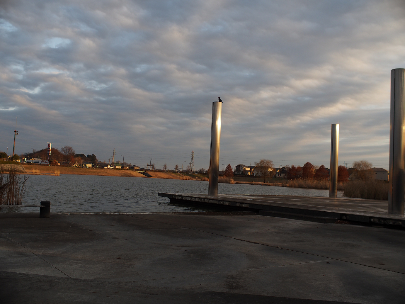 PC230389.jpg