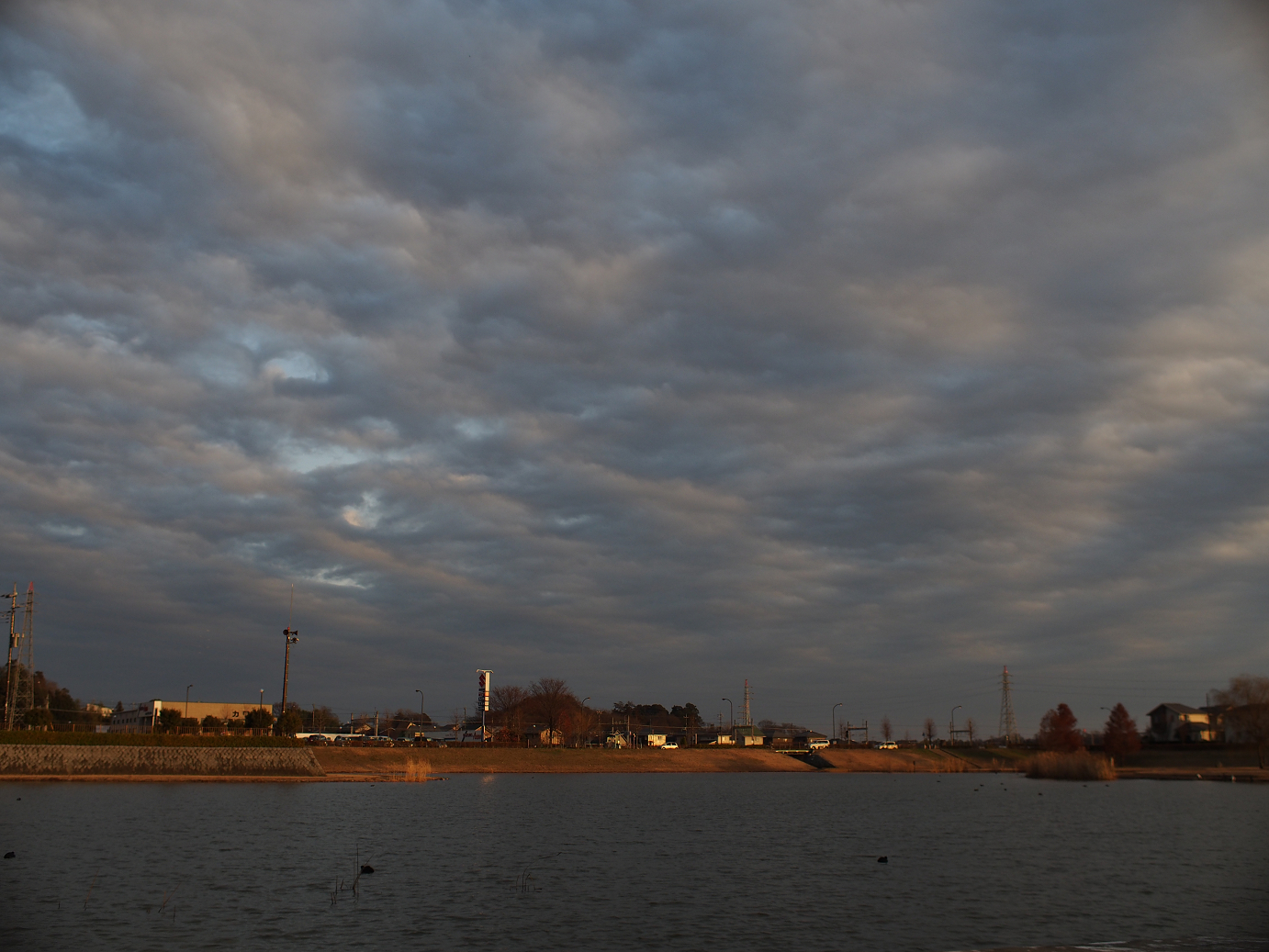 PC230391.jpg