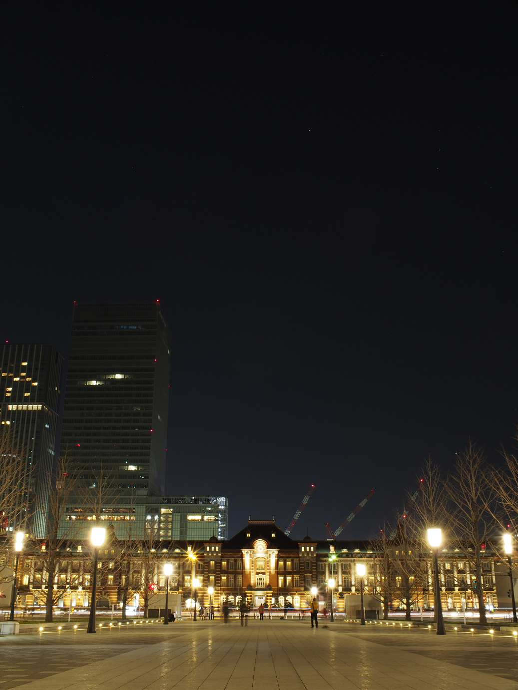 _1020233.jpg