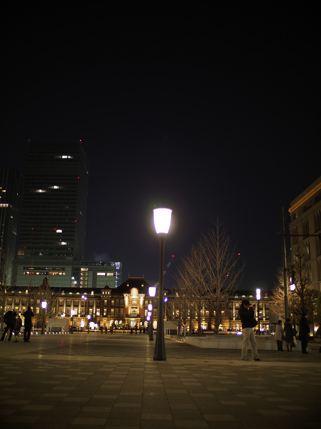 _1020246.jpg