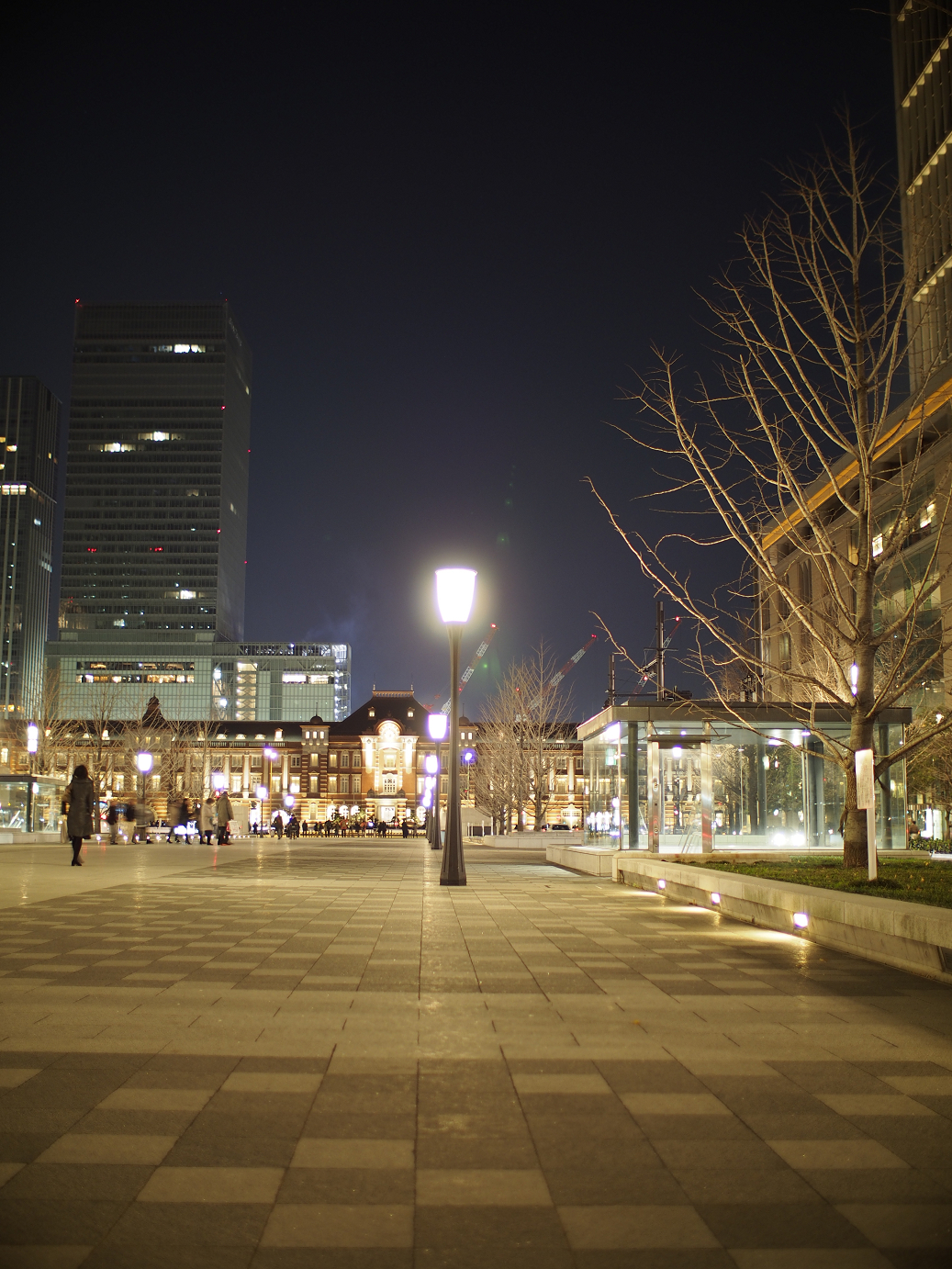 _1020249.jpg