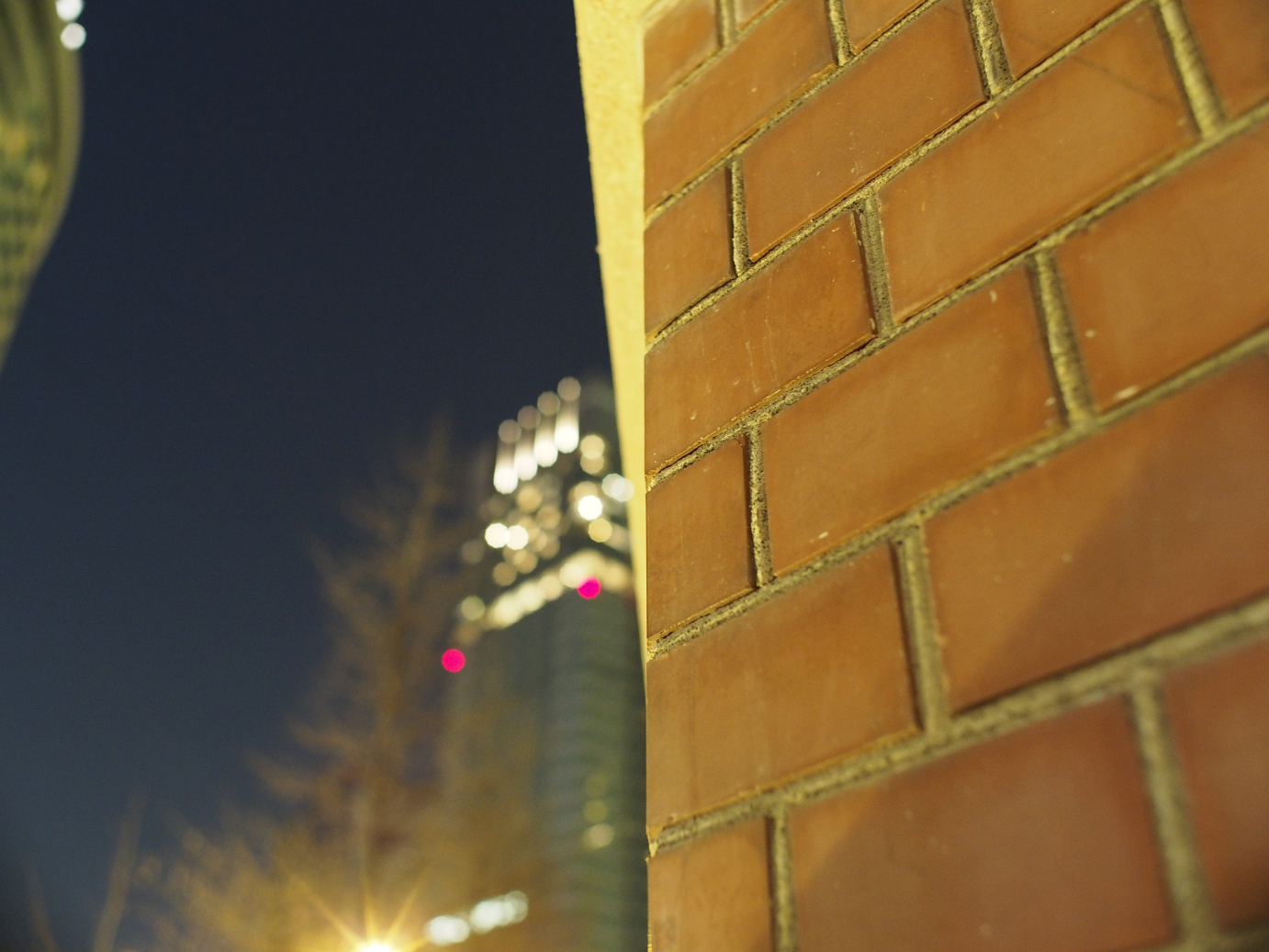 _1020358.jpg