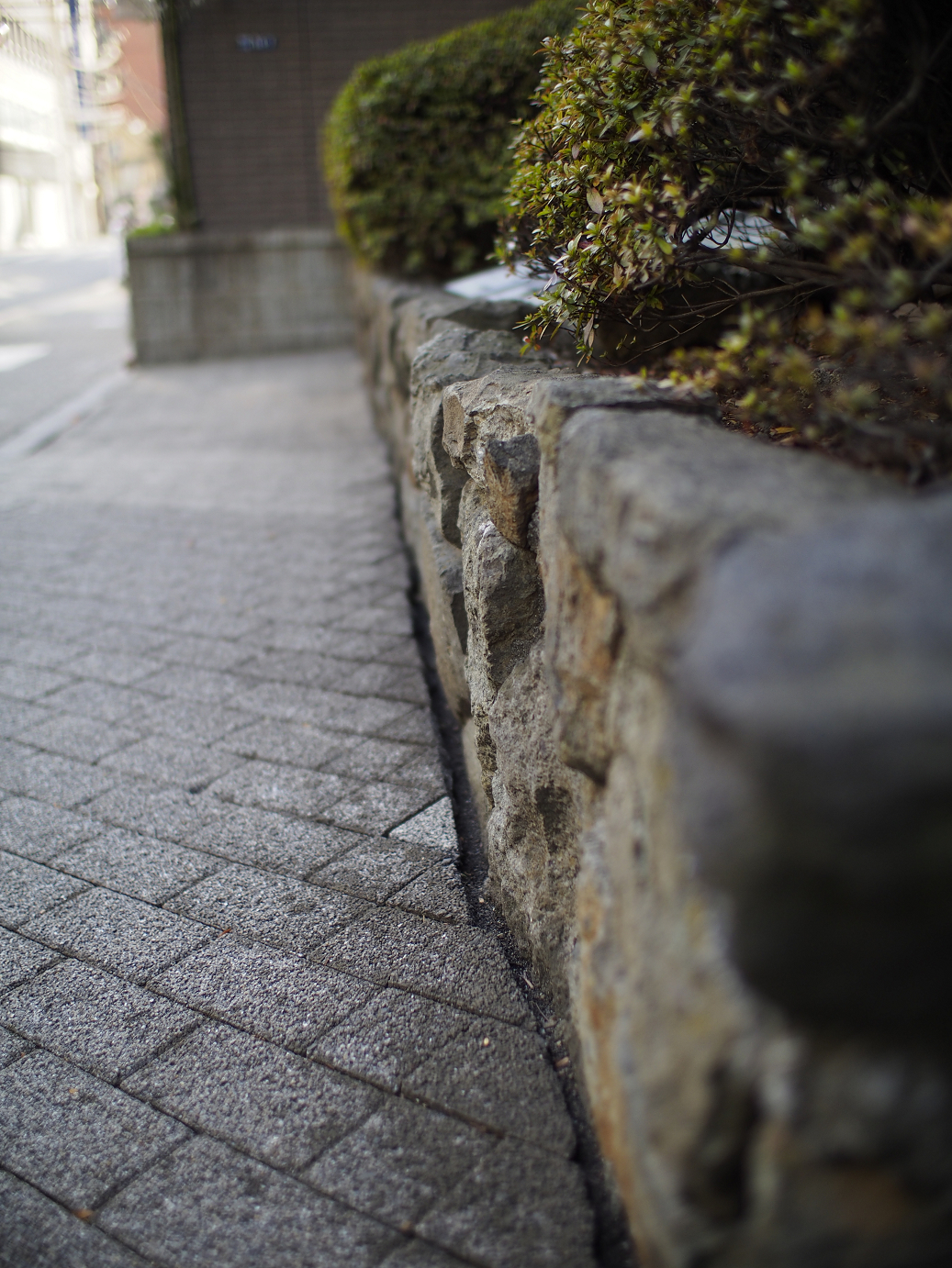 _1020006.jpg