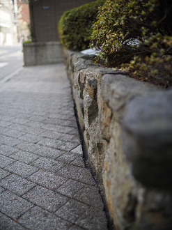 _1020006_thumb.png