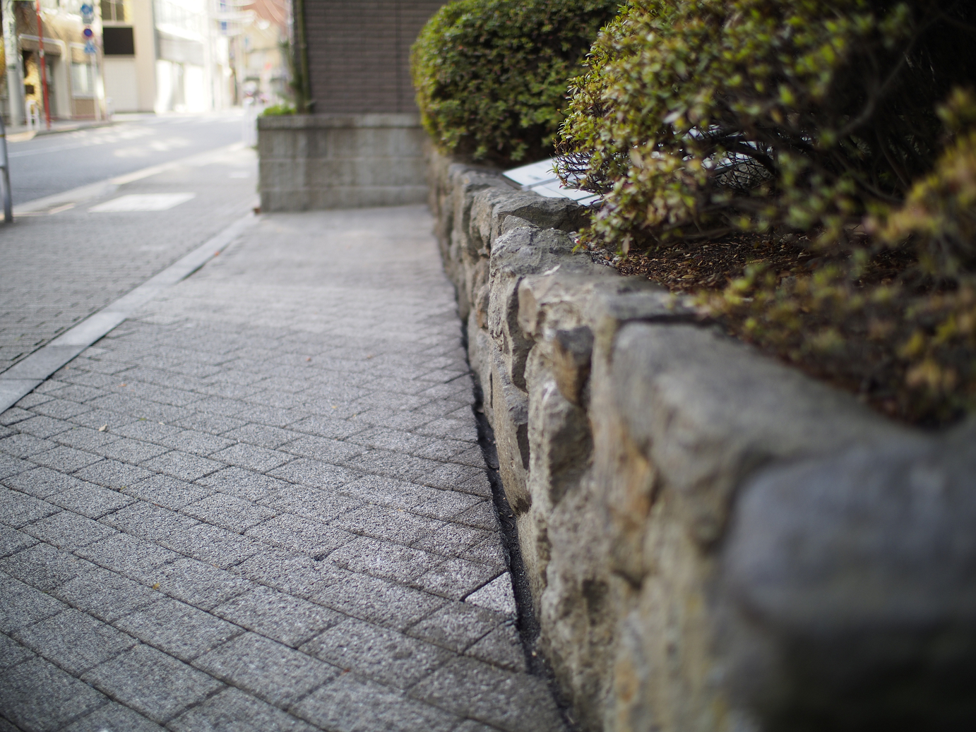 _1020007.jpg