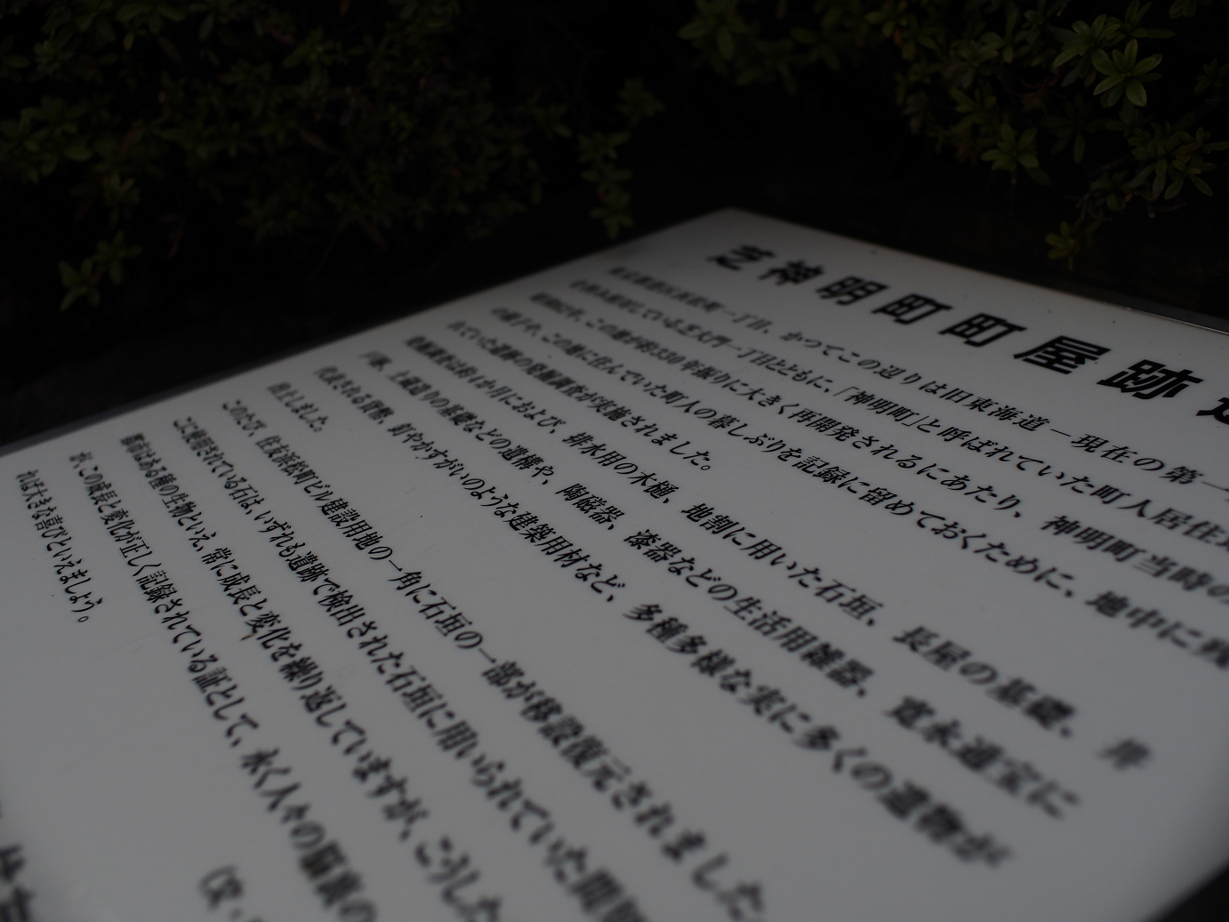 _1020011.jpg