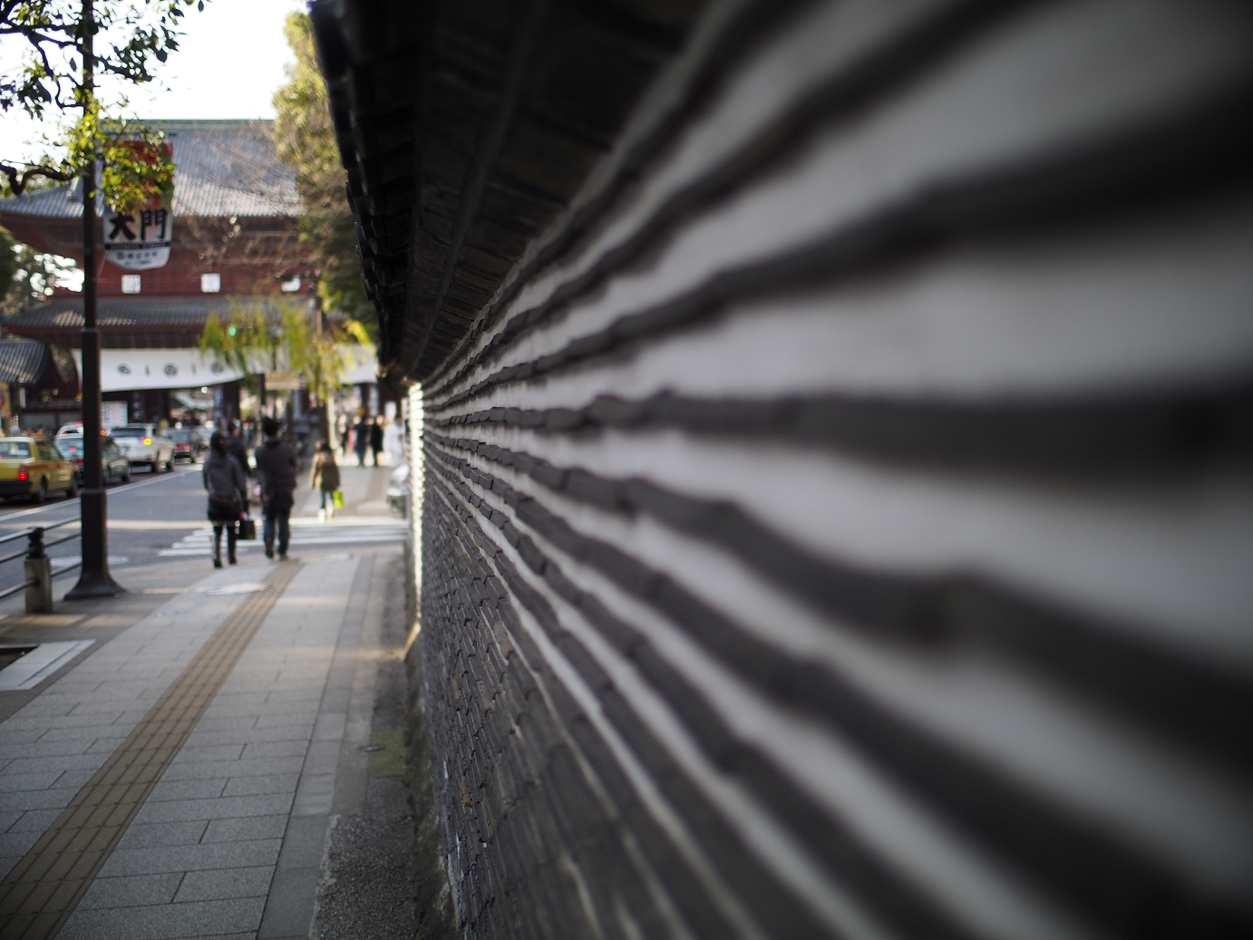 _1020046.jpg