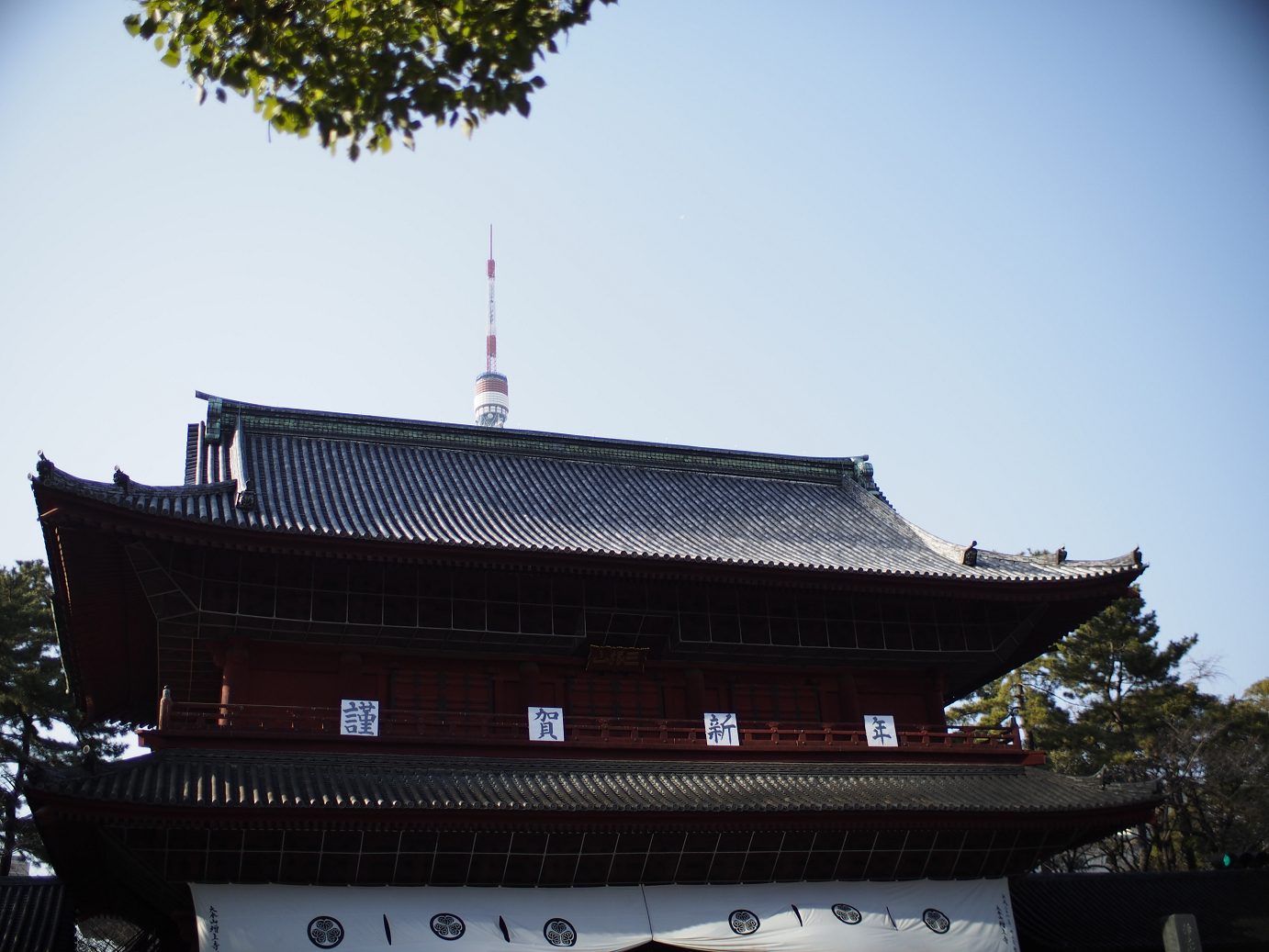 _1020055.jpg