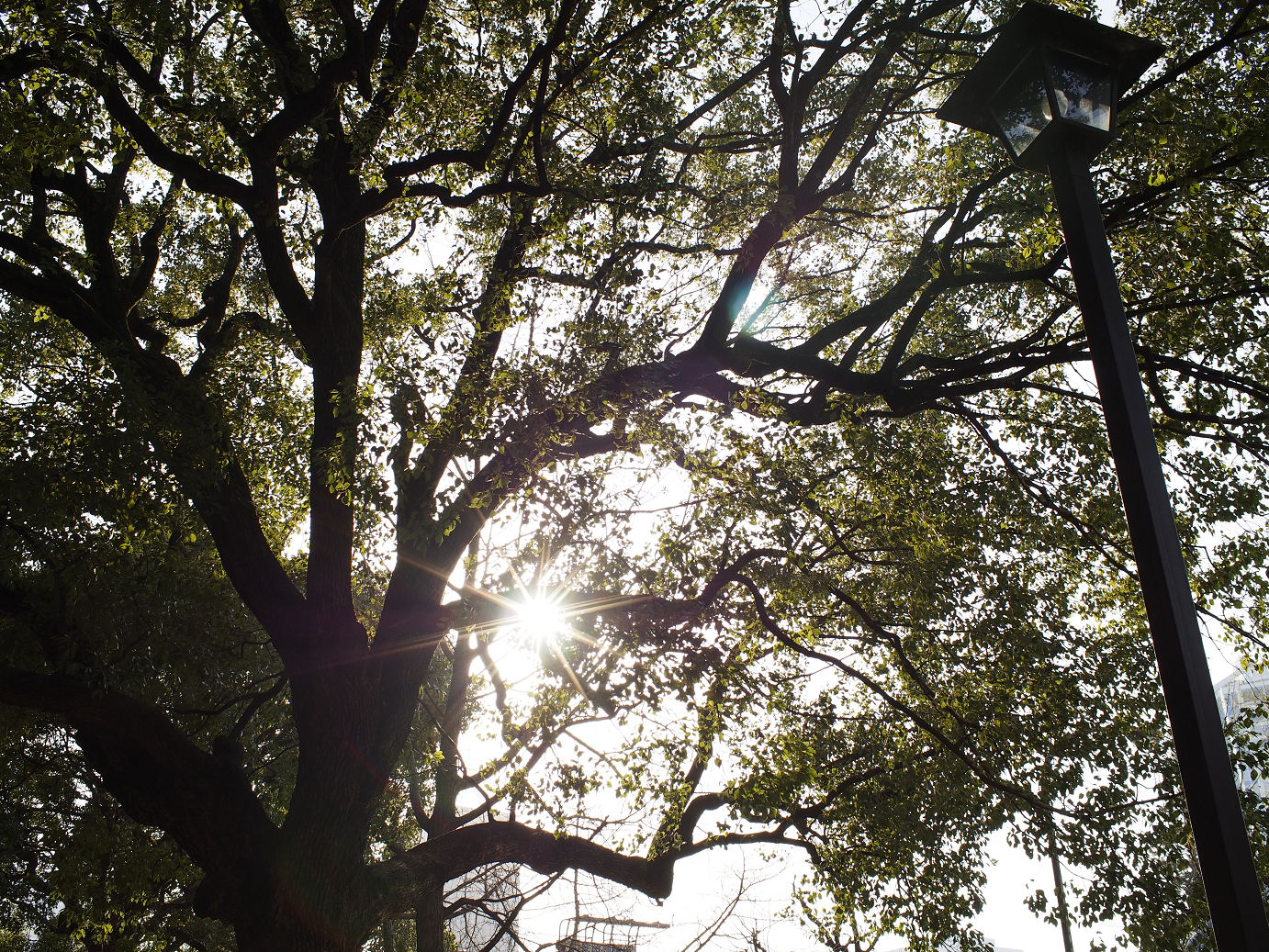 _1020062.jpg