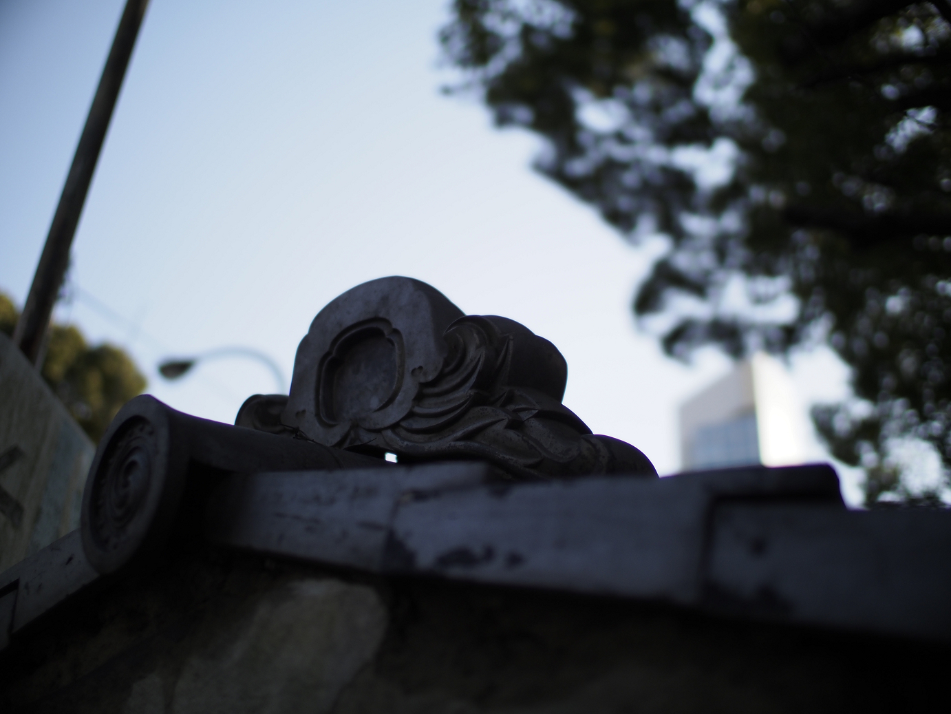 _1020090.jpg