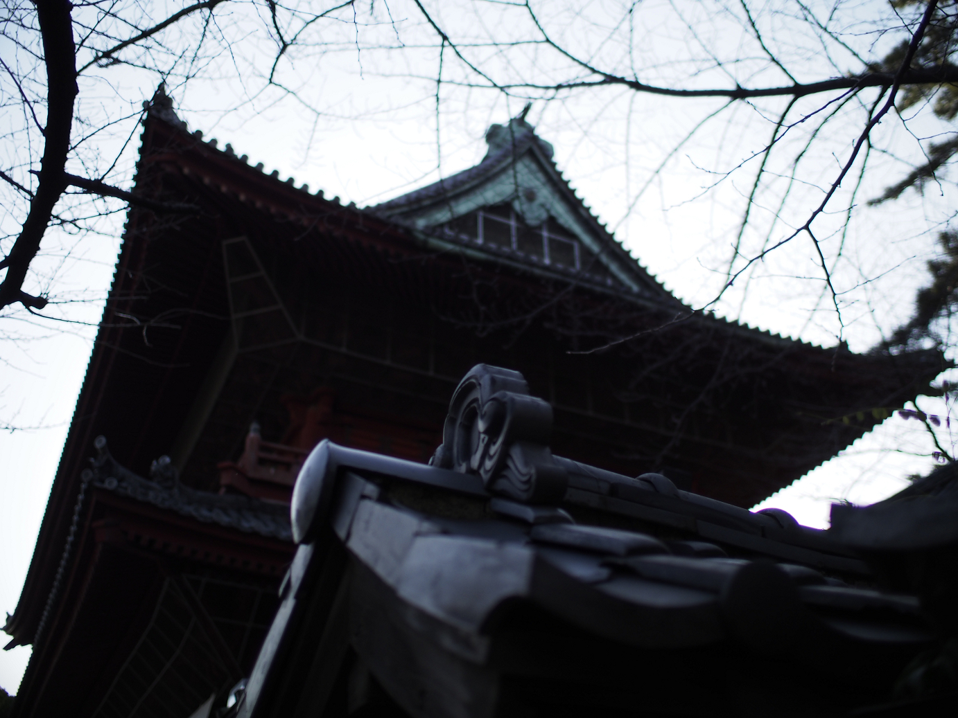 _1020096.jpg