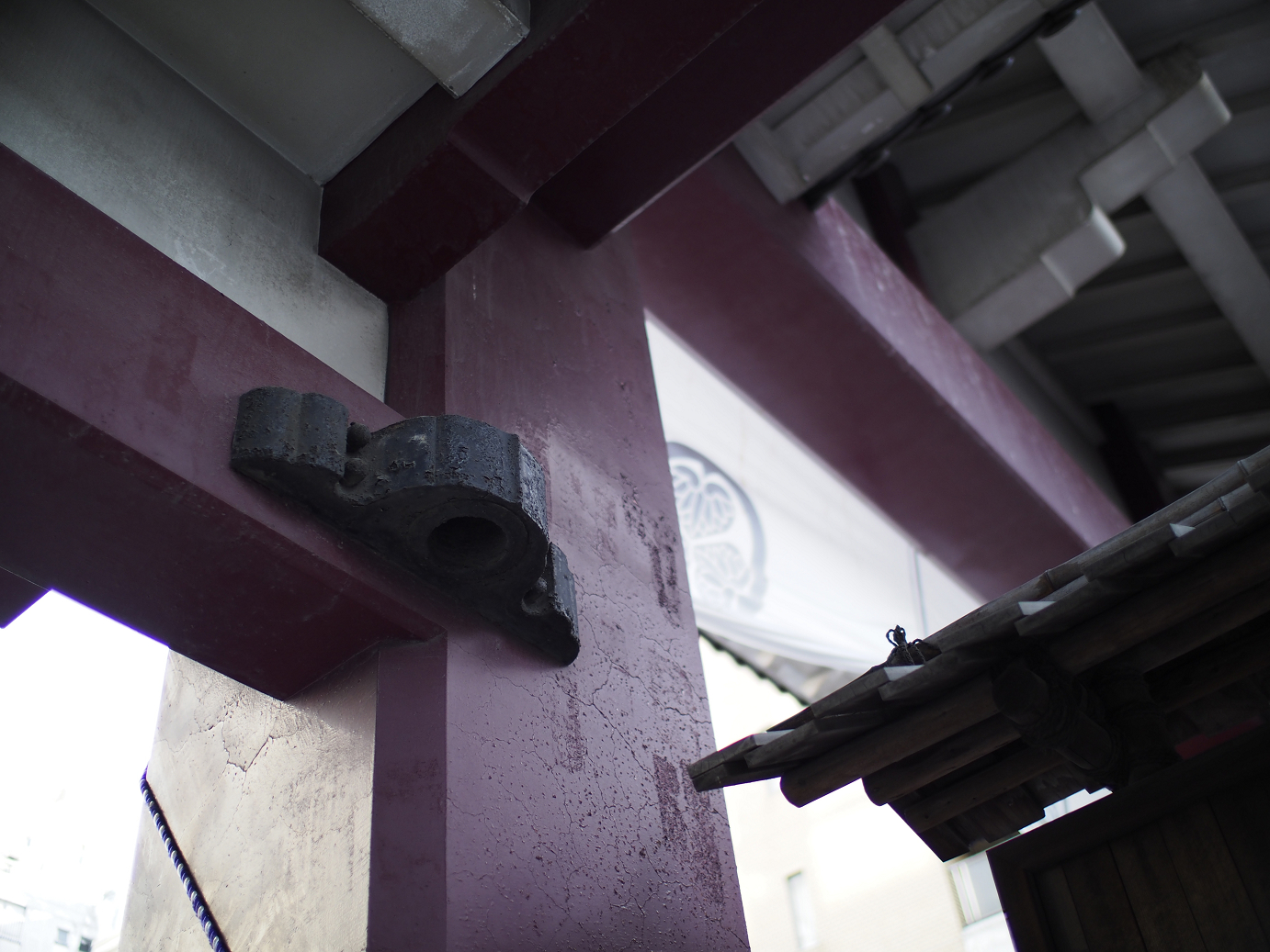 _1020106.jpg
