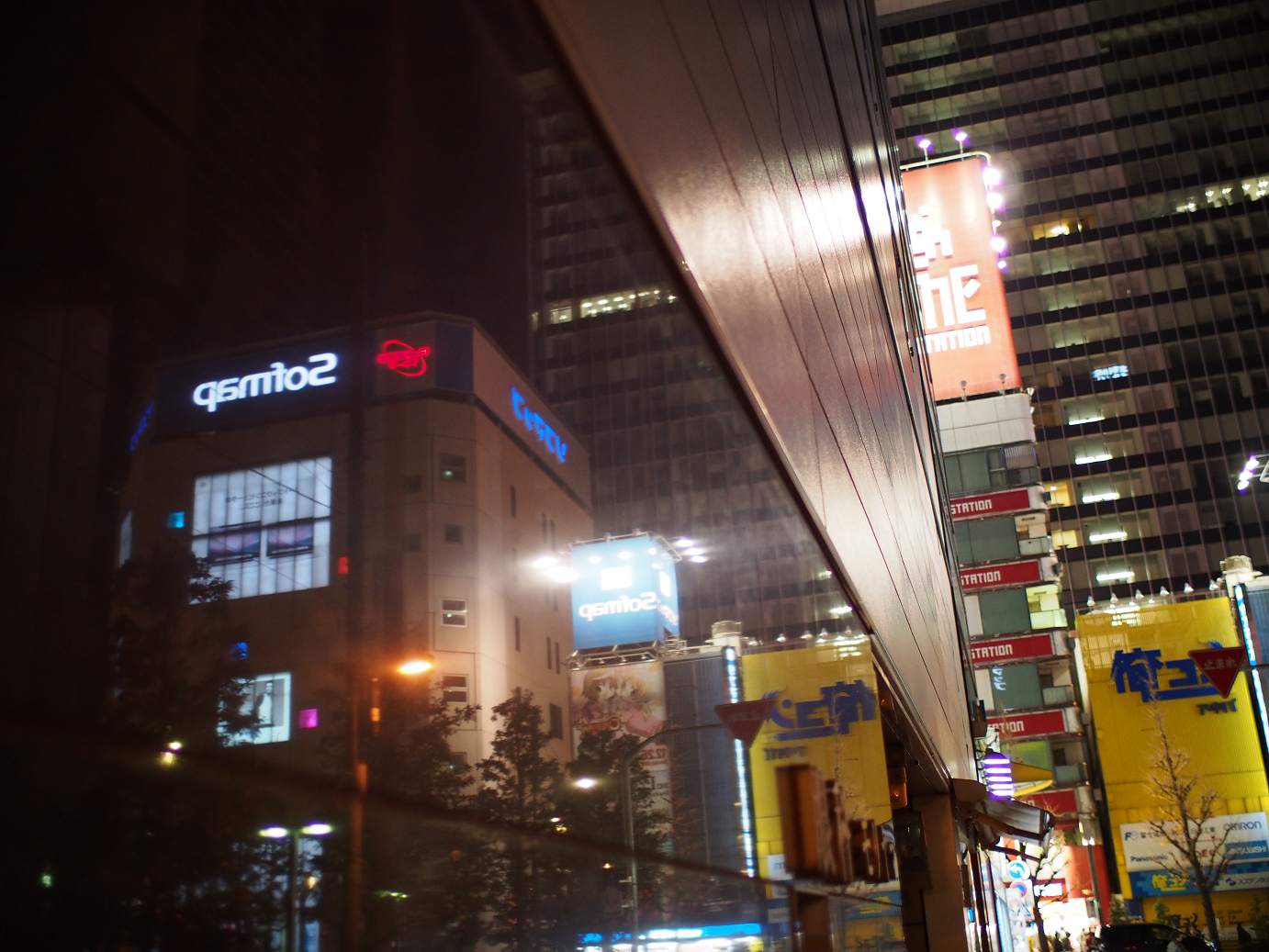 P1030433.jpg