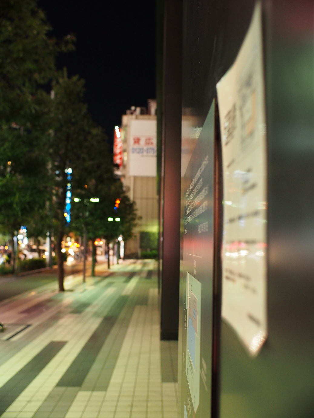 P1030441.jpg