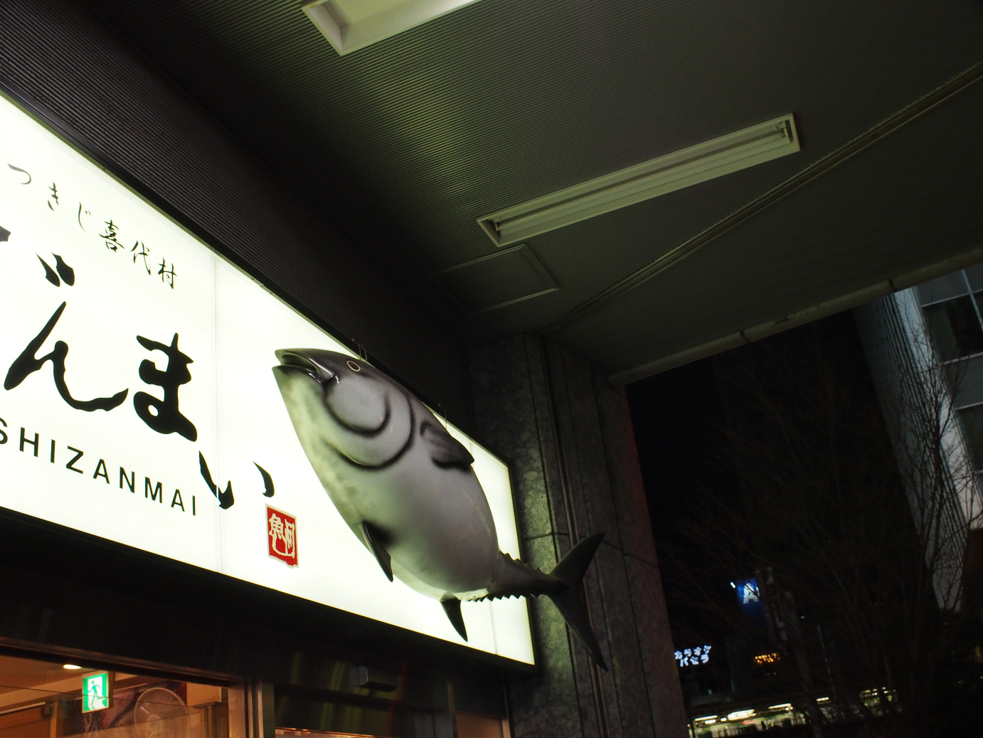 P1030531.jpg