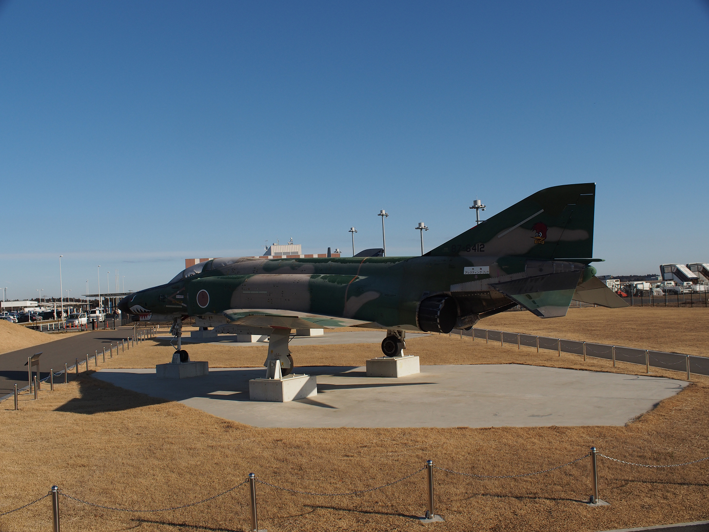 P1050051.jpg