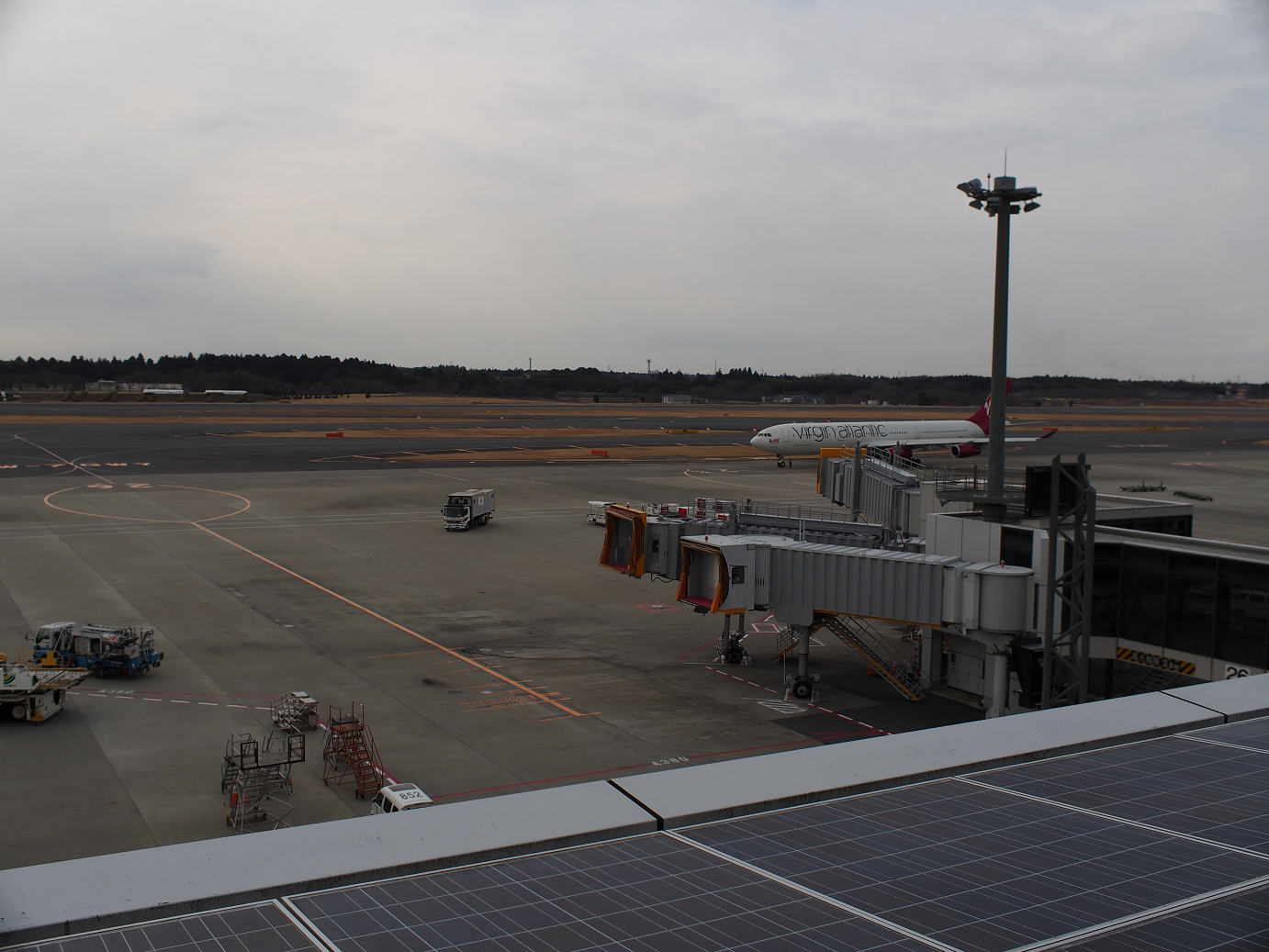 P1050134.jpg